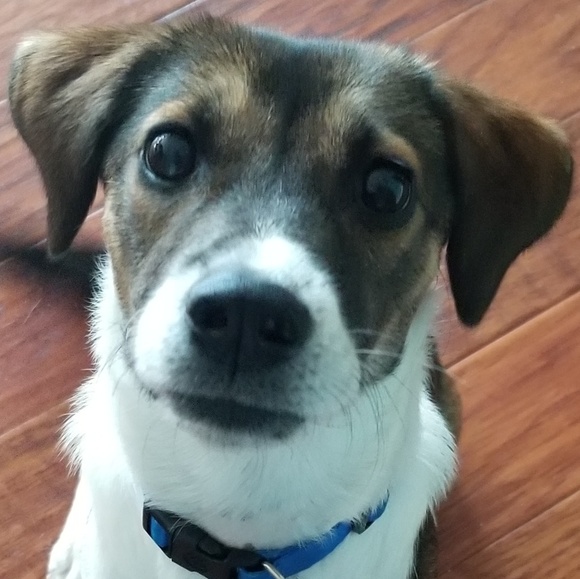 Meet your Posher, Kelly - Picture 1 of 1